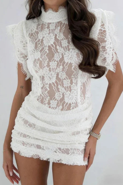 Liriope | Sheer Lace Bodycon Mini Dress